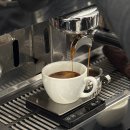 카페창업과정 | 대구 커피 학원: 성공적인 카페 창업을 위한 바리스타 자격증 및 실무 과정 후기