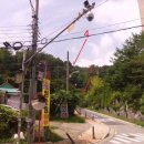 황골온누리 약국 이미지