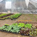 동신농장 이미지