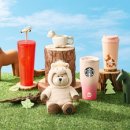 (주)에코디자인센터 이미지