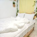 헬로우 주어 | 넾다세일 헬로우 슬립 부드러운 사계절 차렵이불