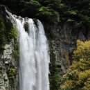 강정동-77 이미지