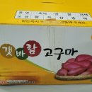 갯바람청과