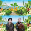 영화야채