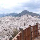 대발령 1쉼터 이미지