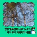 양평수목 | 양평 벌목업체 나무 2~3그루 제거 후기 가지치기 비용