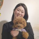 아지스테이션 | 아지스테이션 직접 가보니 동선이 편했던 이유