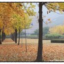 과천문화원 강의실 Daum카페