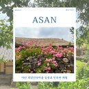 놀부마을 | 아산 외암민속마을 입장료 민속관 체험 충남 아산 가볼만한곳