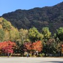 평화상회 이미지