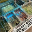 중계고기파티 이미지