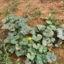 진열농장 이미지