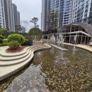 왕길근린공원 이미지