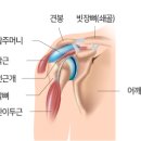 텐퍼센트 짐 이미지