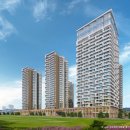 스위첸 세탁 이미지