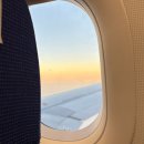 베프바이오 | 생존신고