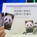 푸통