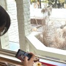 수원시 팔달구 행궁로26번길 이미지