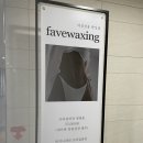 페이브왁싱