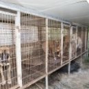 영구농장 이미지