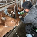 보성축산업협동조합 이미지