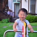 색채의 숲 이미지