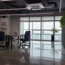 주식회사 반려동물 이미지