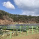 굿모닝태양광발전소 이미지