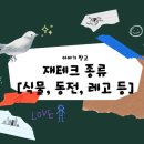 주식회사 이이공공 | 재테크 종류 [식물, 동전, 레고, 직장인, 자영업자]정리