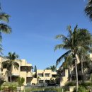 (주)풀과나무 | 베트남 호치민 무이네 더 클레이 리조트 풀 액세스룸, 조식, 수영장 후기