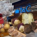 대신동마카롱 | 부산 대표 빵집 40년의 역사를 가진 :: 비엔씨제과 롯데백화점광복점