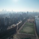 소문난개미 이미지