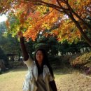 (주)진마트 | [강선생의 하루] 한국사검정시험감독 / 문어치킨 / 마트에 장보러 / 프렌치프토스트 꺅
