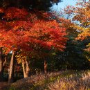 스포원파크 이미지