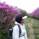 팔령치