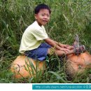 주자농장 이미지