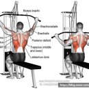 운동J GYM 이미지