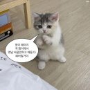 2월 첫째 주 이야기 🖤