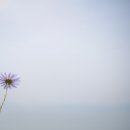 (주)리드온 이미지