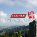 단하예초 | 스위스 신혼여행│4월초에 스위스에서 할 수 없는 것들 (feat. 스위스 4월 날씨)
