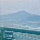 골드온천상가 앞 이미지