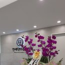 스타일치과기공소 이미지