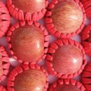 이태영농장 이미지