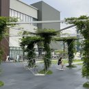 배딱관평점 이미지