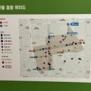 구지로, 분성로 이미지