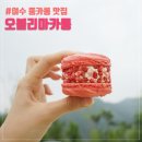 쉐르.담 | 여수 마카롱 뚱카롱 맛집 오블리마카롱