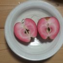 현대6호 이미지