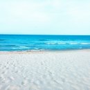 파도횟집 이미지