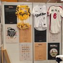배브라더스골프 | 2025 코엑스 트래블쇼 방문 후기 | 현장 등록부터 여행지·여행용품 부스까지 총정리