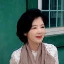 물속에 터를 잡은 나무 이미지